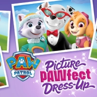 Paw Patrol: ຮູບພາບ Pawfect Dress-Up