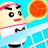 3d_amazing_volleyball بازی ها