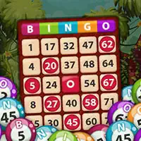 Bingo Kralj