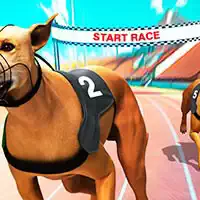 crazy_dog_racing_fever Ойындар