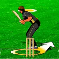 ເກມ Cricket ເກມ