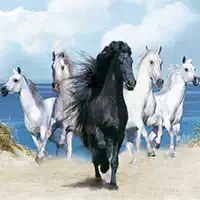 horses_puzzle بازی ها