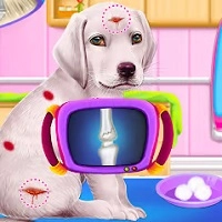 labrador_puppy_daycare_salon Jogos