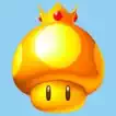 mario_rescues_the_golden_mushroom રમતો