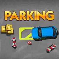 parking_meister Gry