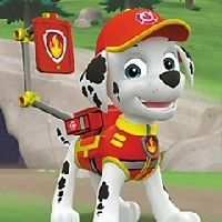 Paw Patrol Sortieren Lernen