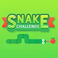 snake_challenge Խաղեր