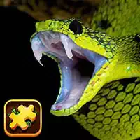 snake_puzzle_challenge Παιχνίδια