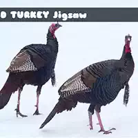 wild_turkey_jigsaw Խաղեր