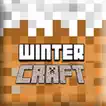 winter_craft 游戏