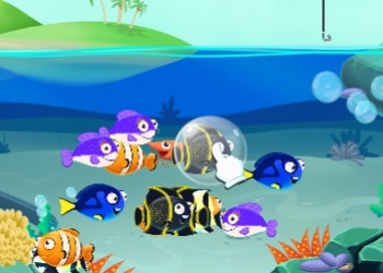 Fisch-Crush Spiel-Screenshot