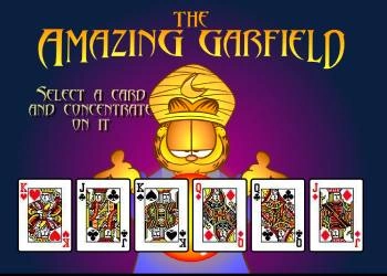 The Amazing Garfield រូបថតអេក្រង់ហ្គេម