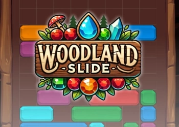 Woodland Slide ພາບຫນ້າຈໍເກມ